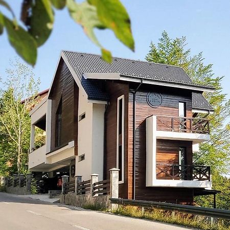 Casa Larisa Antonia Apartments Sinaia Luaran gambar