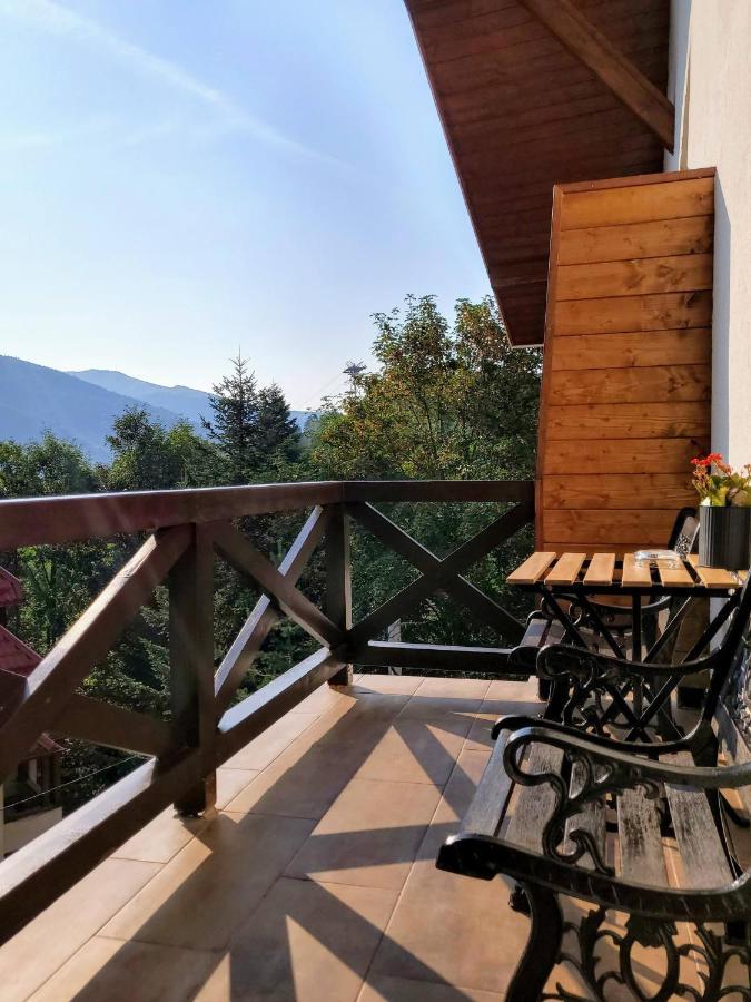 Casa Larisa Antonia Apartments Sinaia Luaran gambar