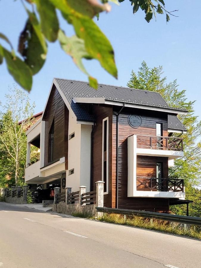 Casa Larisa Antonia Apartments Sinaia Luaran gambar