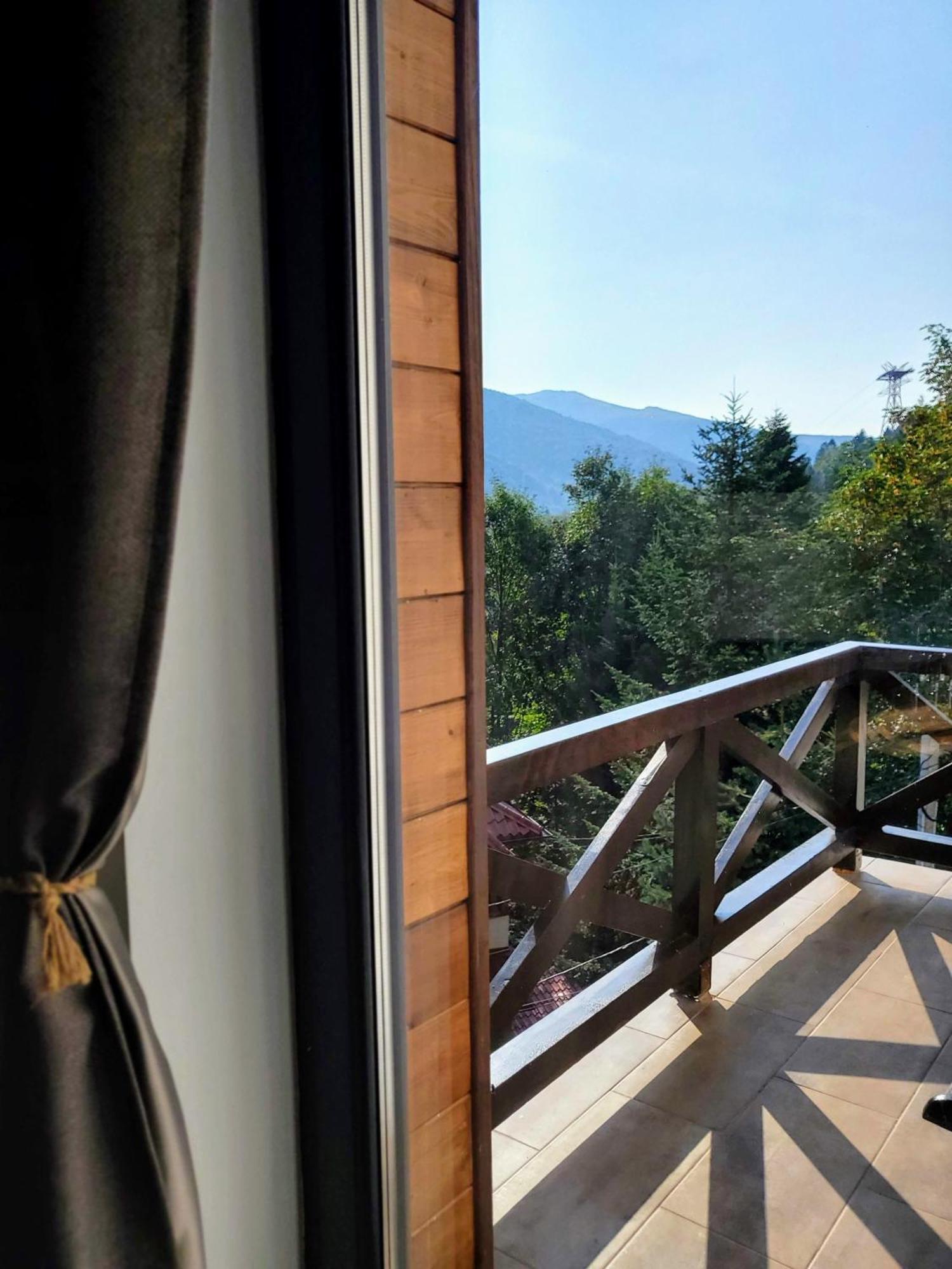 Casa Larisa Antonia Apartments Sinaia Luaran gambar