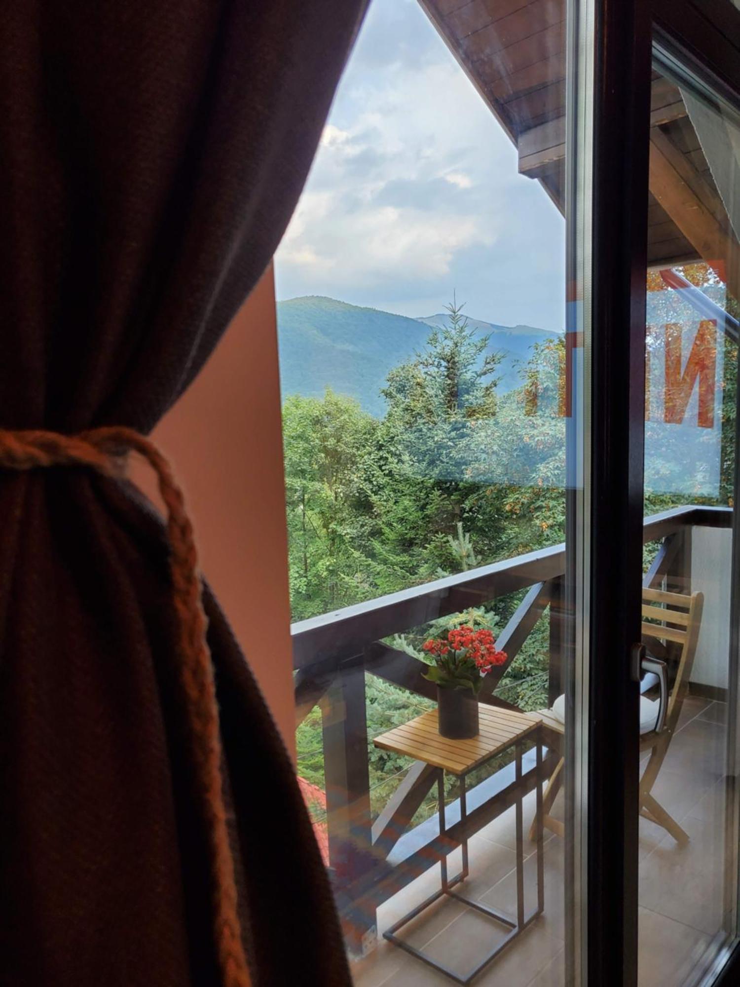 Casa Larisa Antonia Apartments Sinaia Luaran gambar